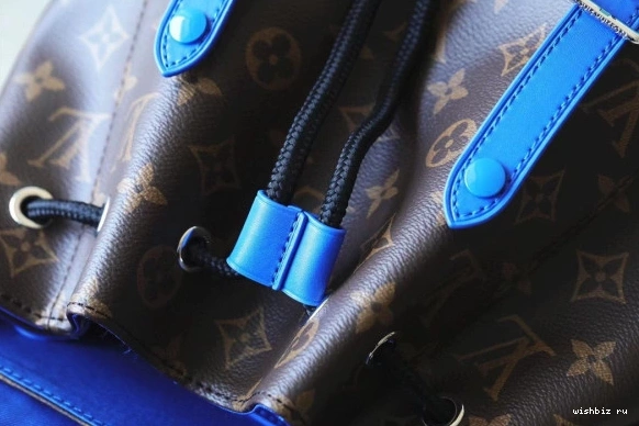 WIS LOUIS VUITTON CHRISTOPHER MM 1225